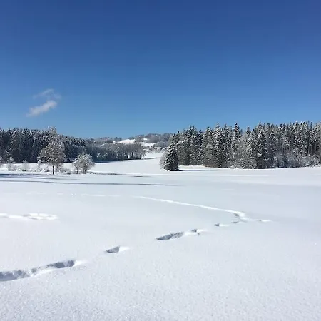 Fritzis Alpenidyll „sommertraum & Winterromantik” Appartement Samerberg