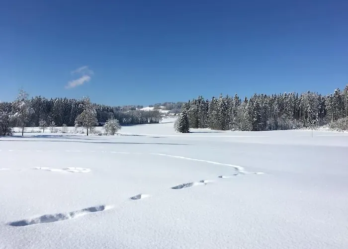 Fritzis Alpenidyll „sommertraum & Winterromantik” Apartamento Samerberg
