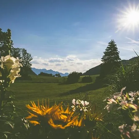 Apartament Fritzis Alpenidyll „sommertraum & Winterromantik” Samerberg